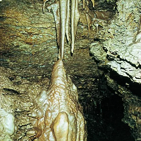 Apartamento Panorama Rauenstein (Sonneberg)