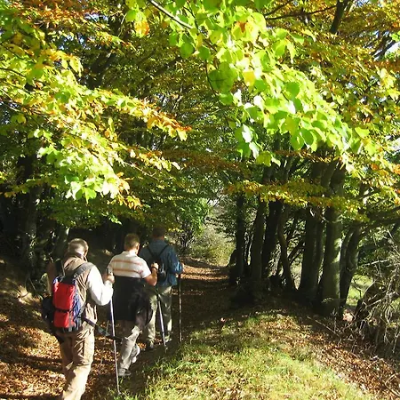 아파트 Panorama Rauenstein (Sonneberg)