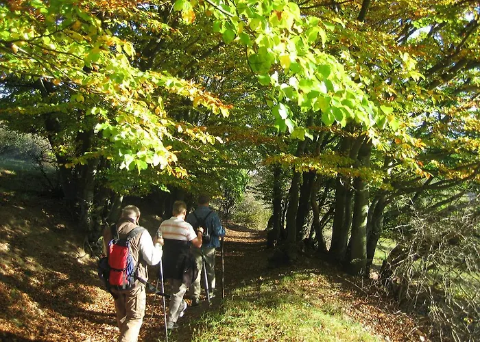 公寓 全景公寓 Rauenstein (Sonneberg)